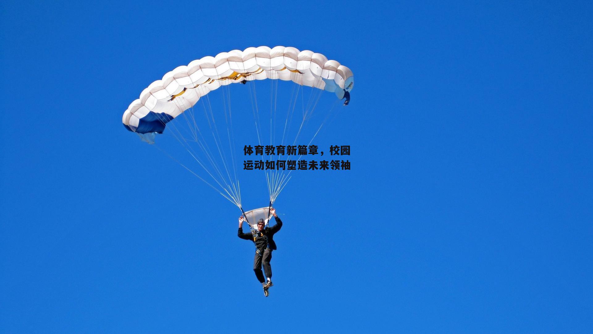 体育教育新篇章，校园运动如何塑造未来领袖